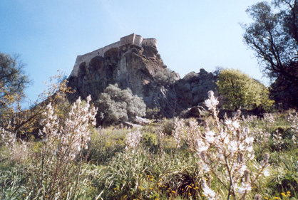 116-corte sur le rocher